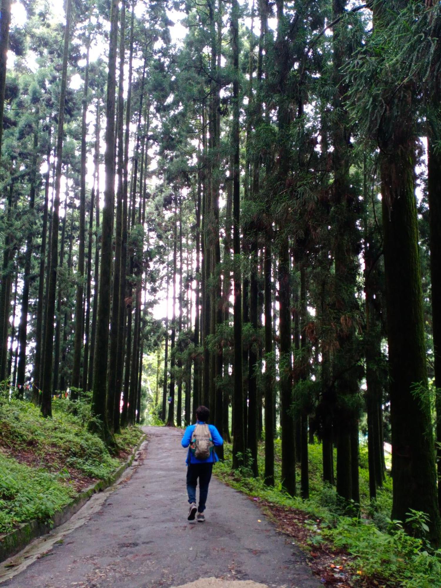 Aakeet Lyang Homestay Kurseong Exterior foto